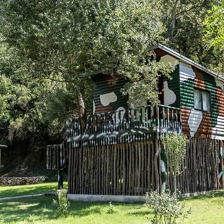 Kazerma E Cerenit 3*